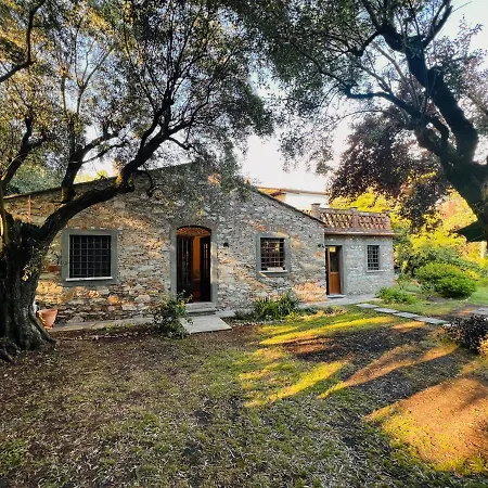 Holiday home La Casina Di Susy